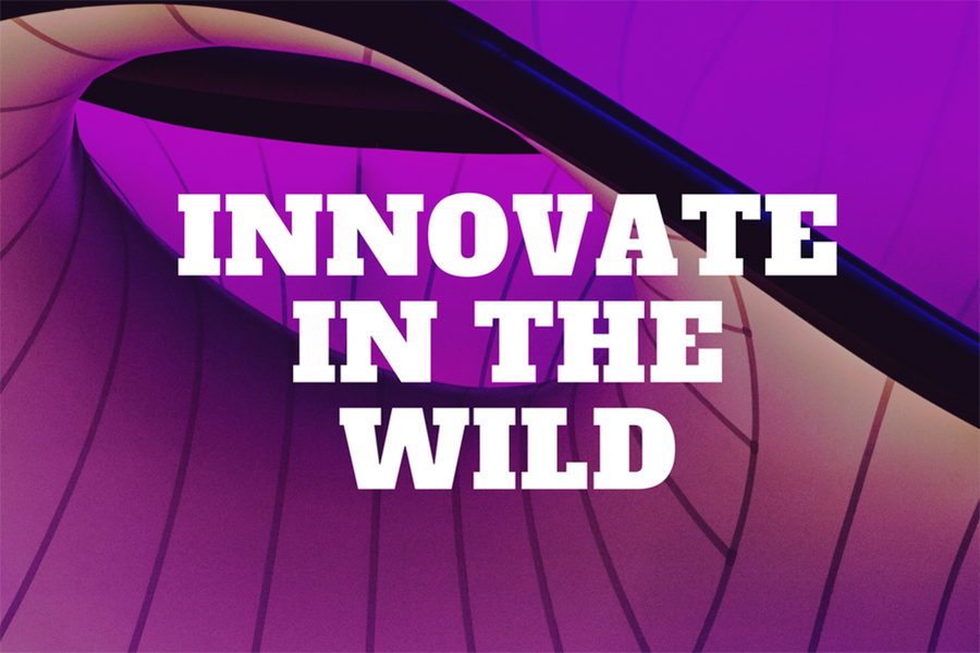Innovate in the wild by sponsoring a practicum project.