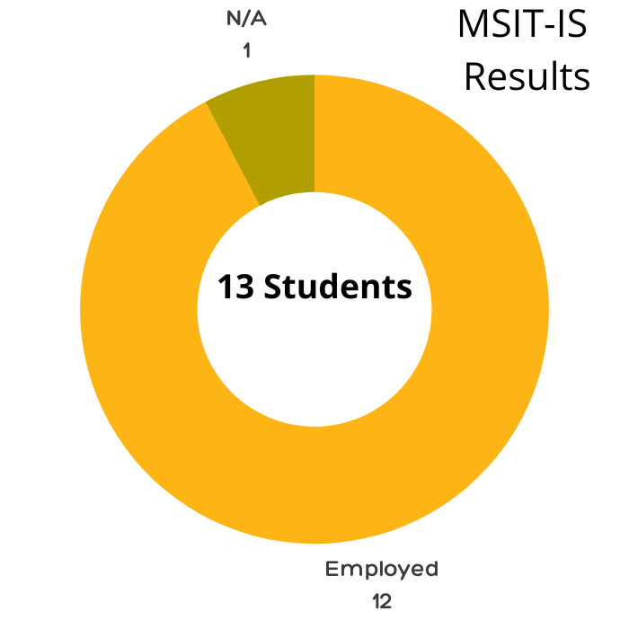 MSIT-IS employment results