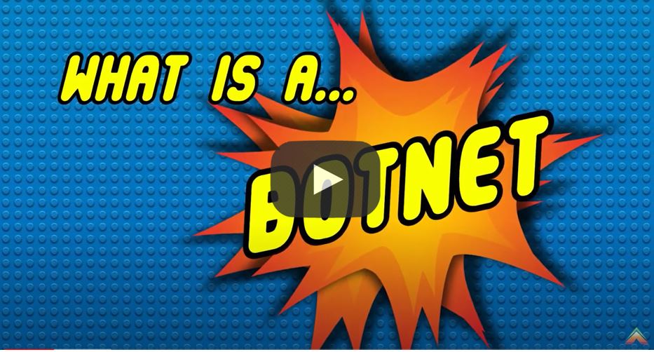 What is a botnet?