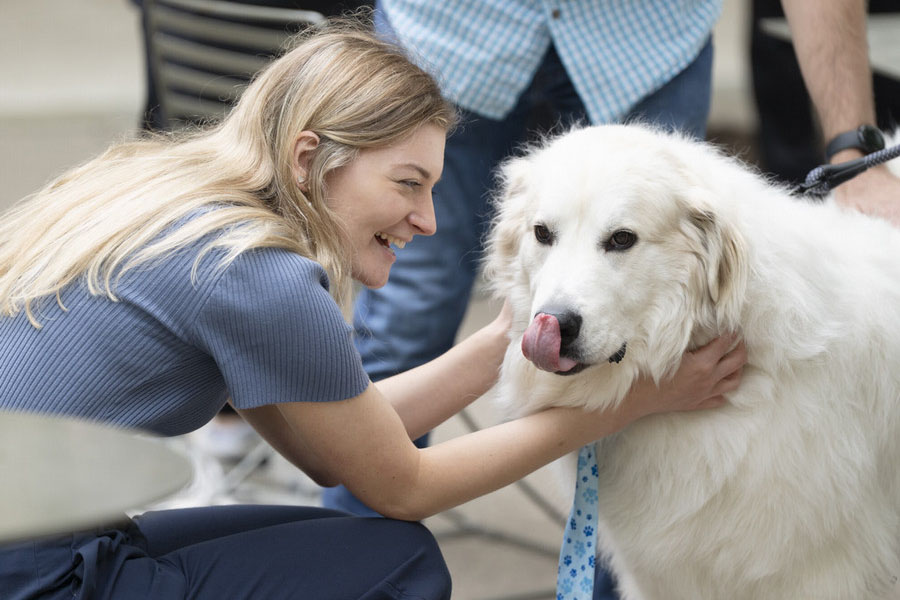 Woman petting large, fluffy dog during a visit from Therapets