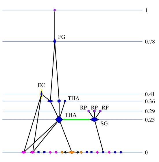 Figure 13a