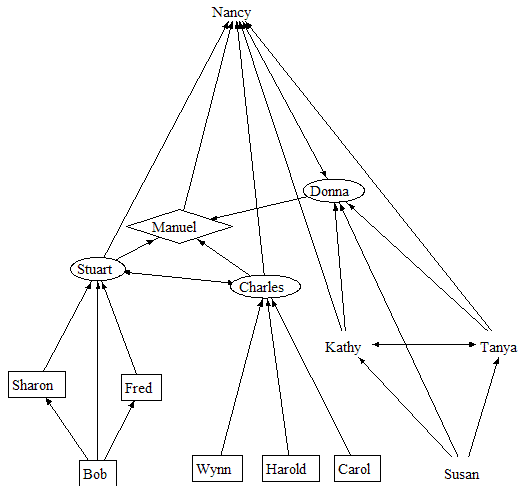 View of the formal network