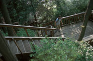 Doherty Stairs