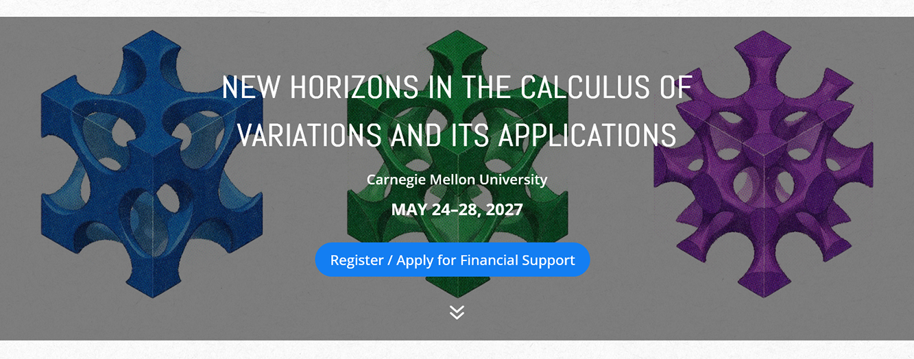 Workshop on New Horizons in the Calculus of Variations and Its Applications