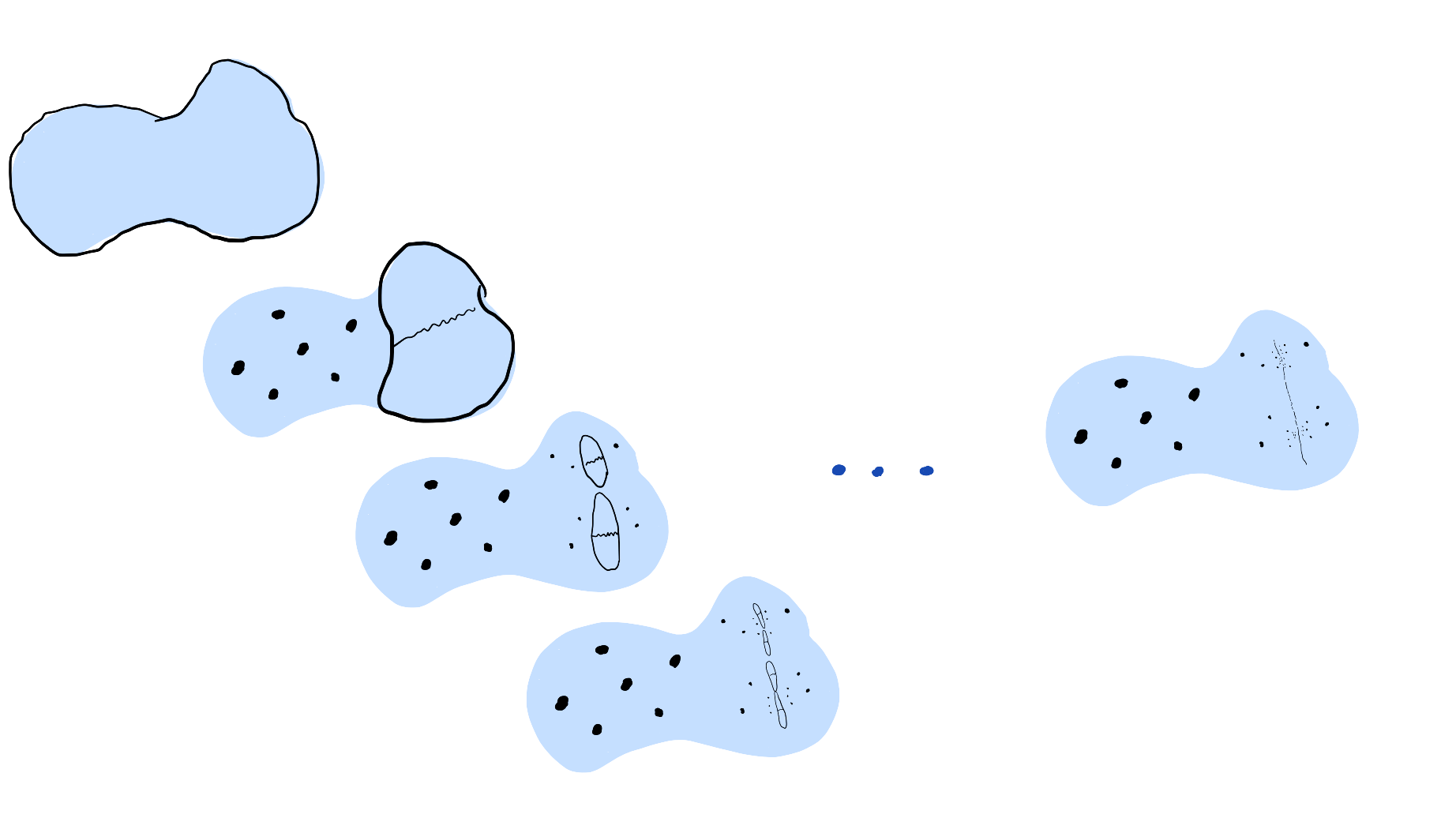 robust distance graphs project
