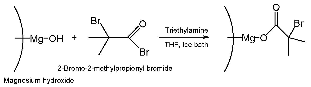 11j scheme MgOH