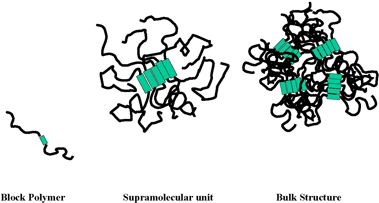 11d image 1