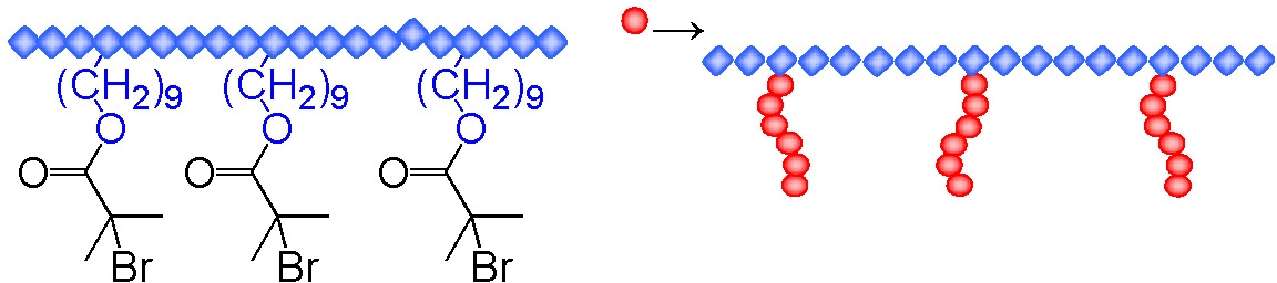 11e scheme 4