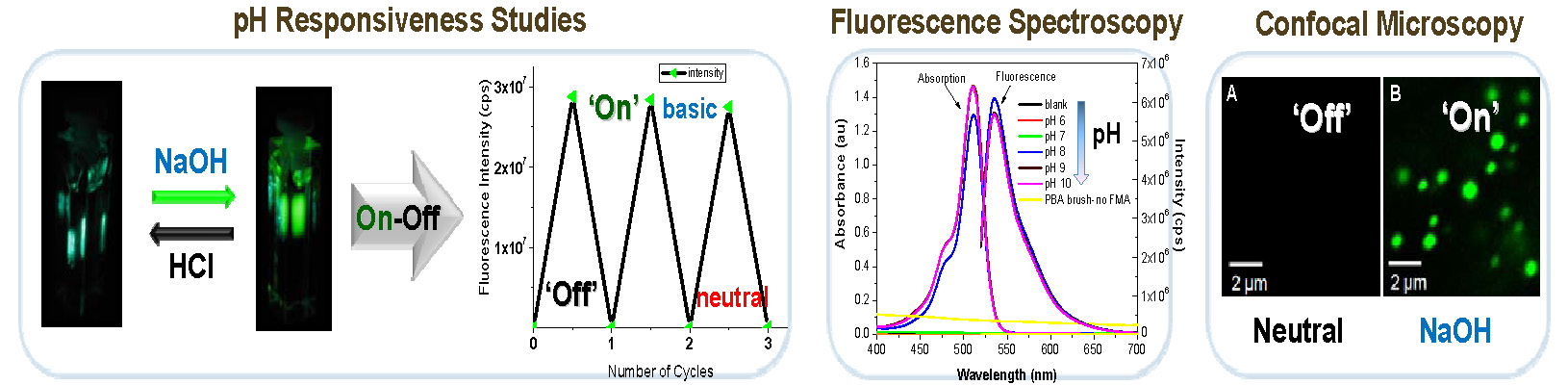 11G fluorescent 2