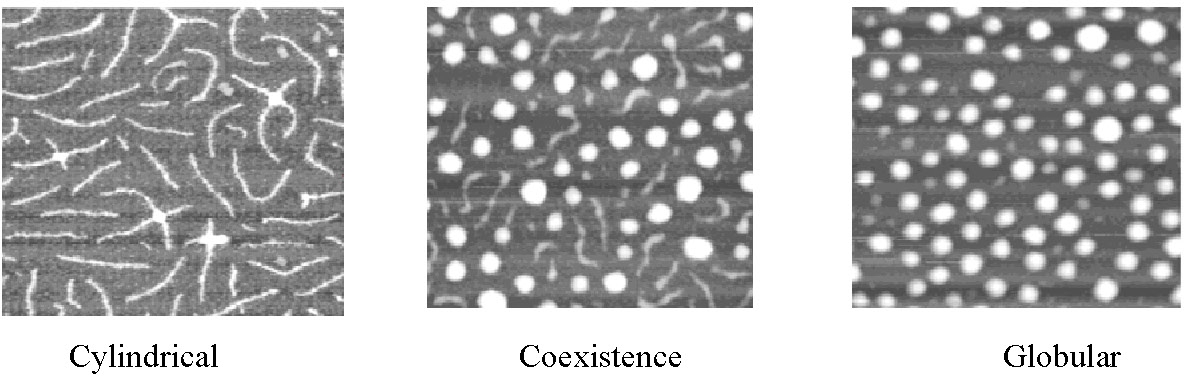 11g image 3