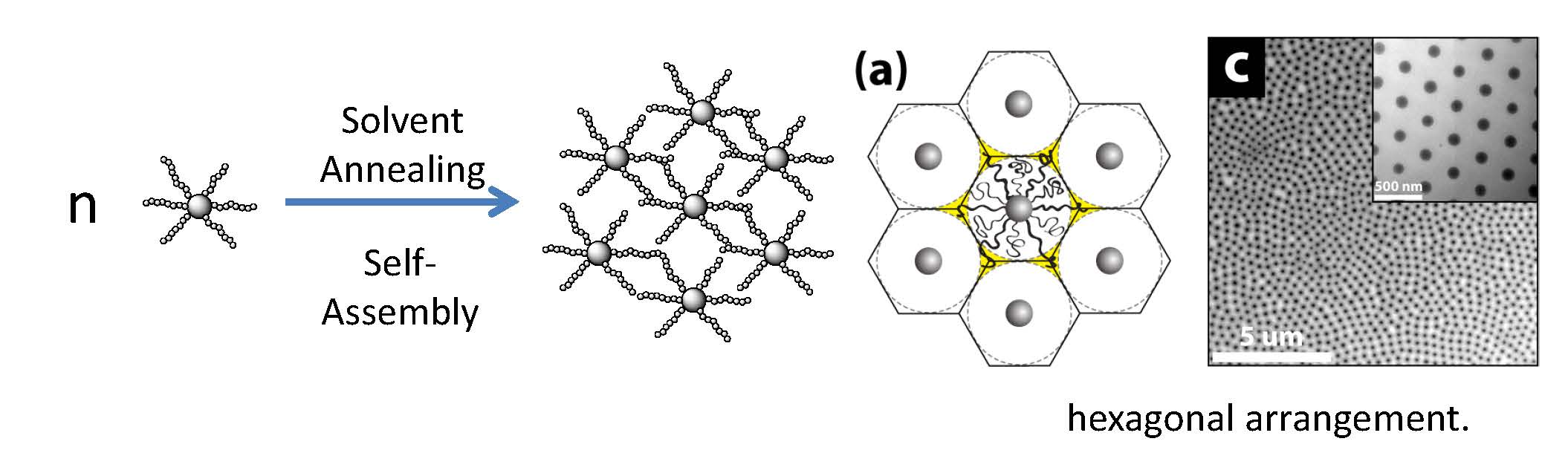 11j hexagonal