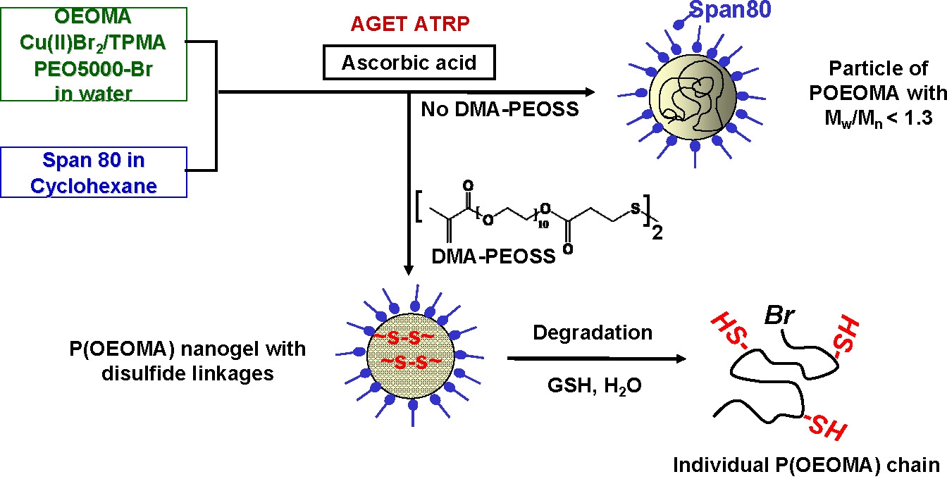 degrade nanogels