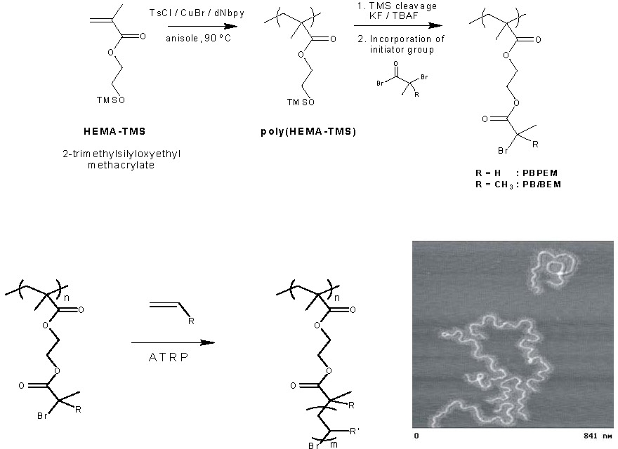 9e brush synthesis 5