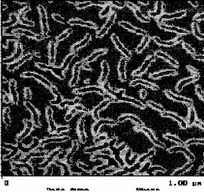 9e linear AFM 14