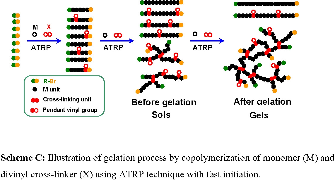 7H gel 2