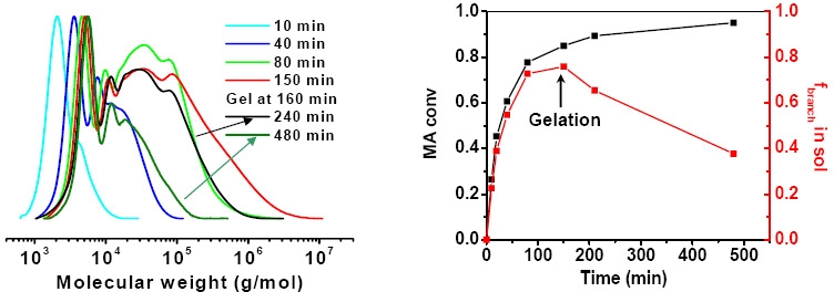 7H gel 3