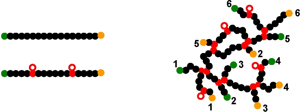 9HB scheme 2