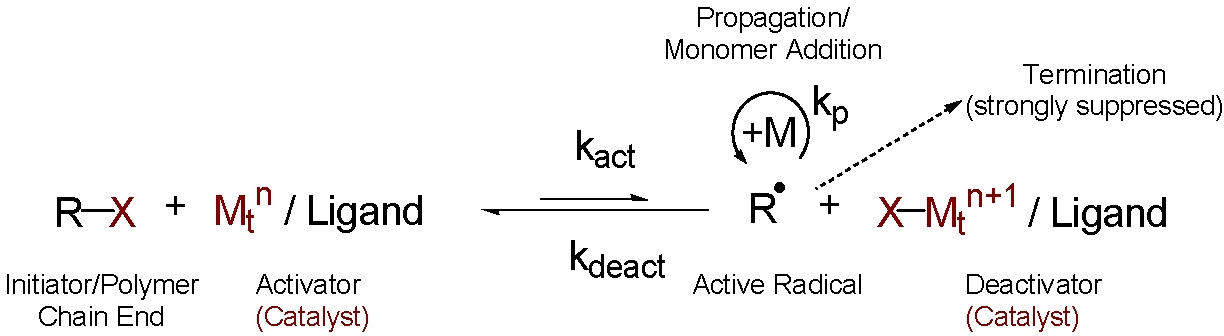 ATRP Equilibrium