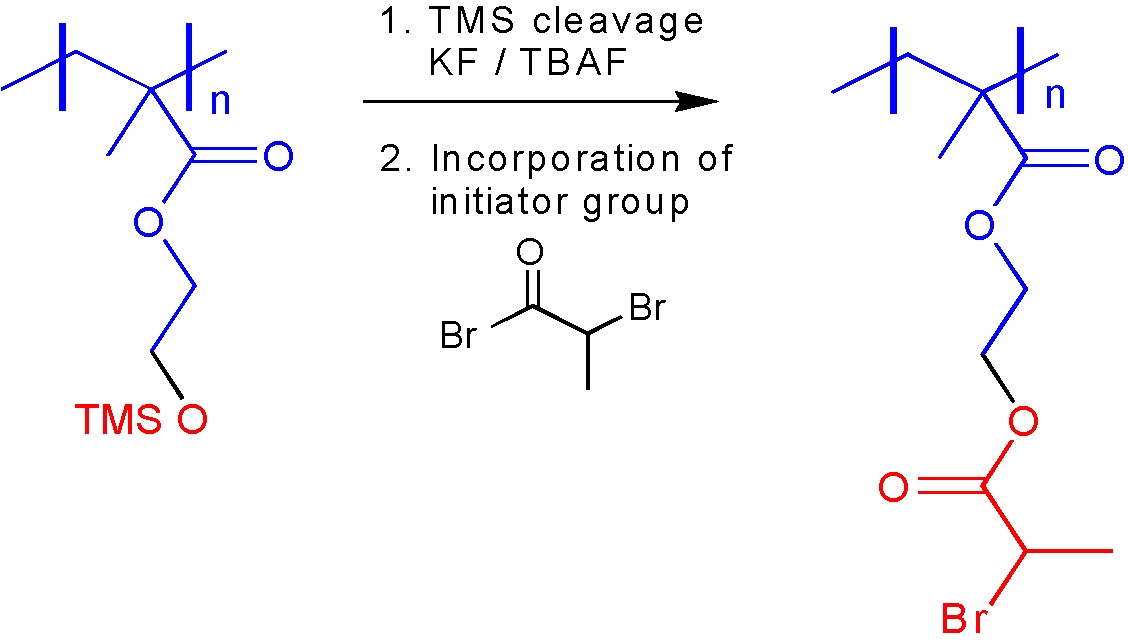 8C image 2