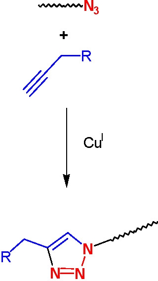 8D scheme 4