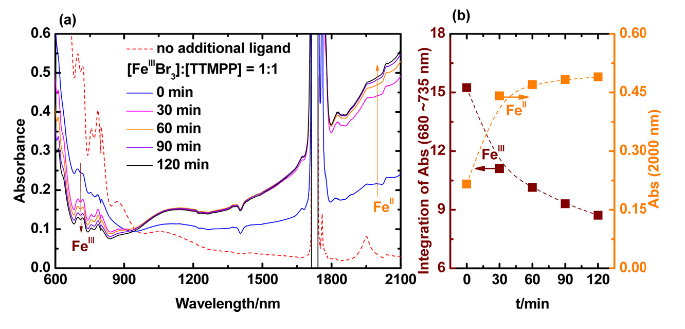 Fe adsorption