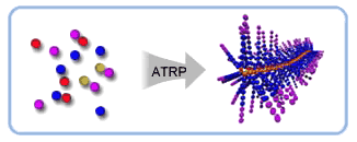 atrp diagram