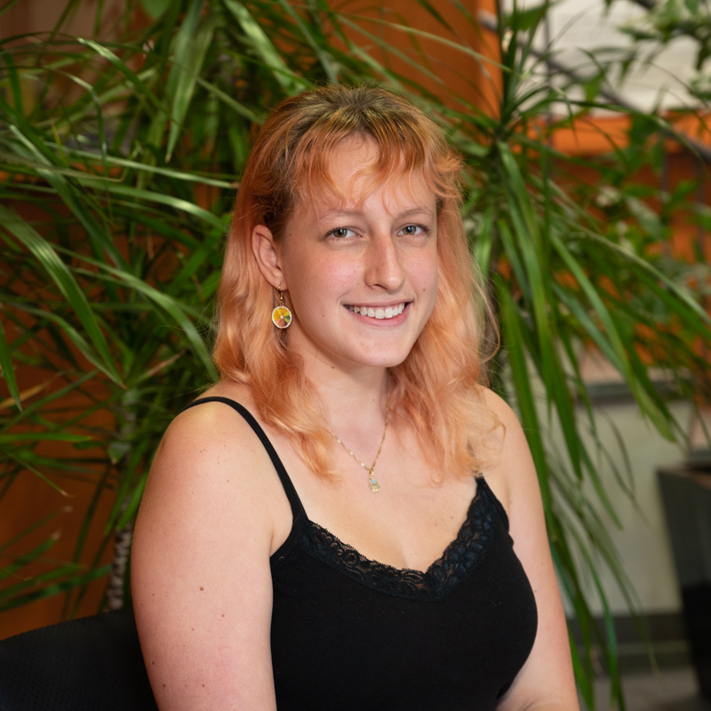 zilberberg_alice