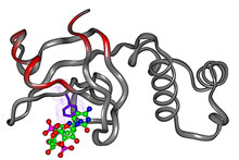 rho 3d image