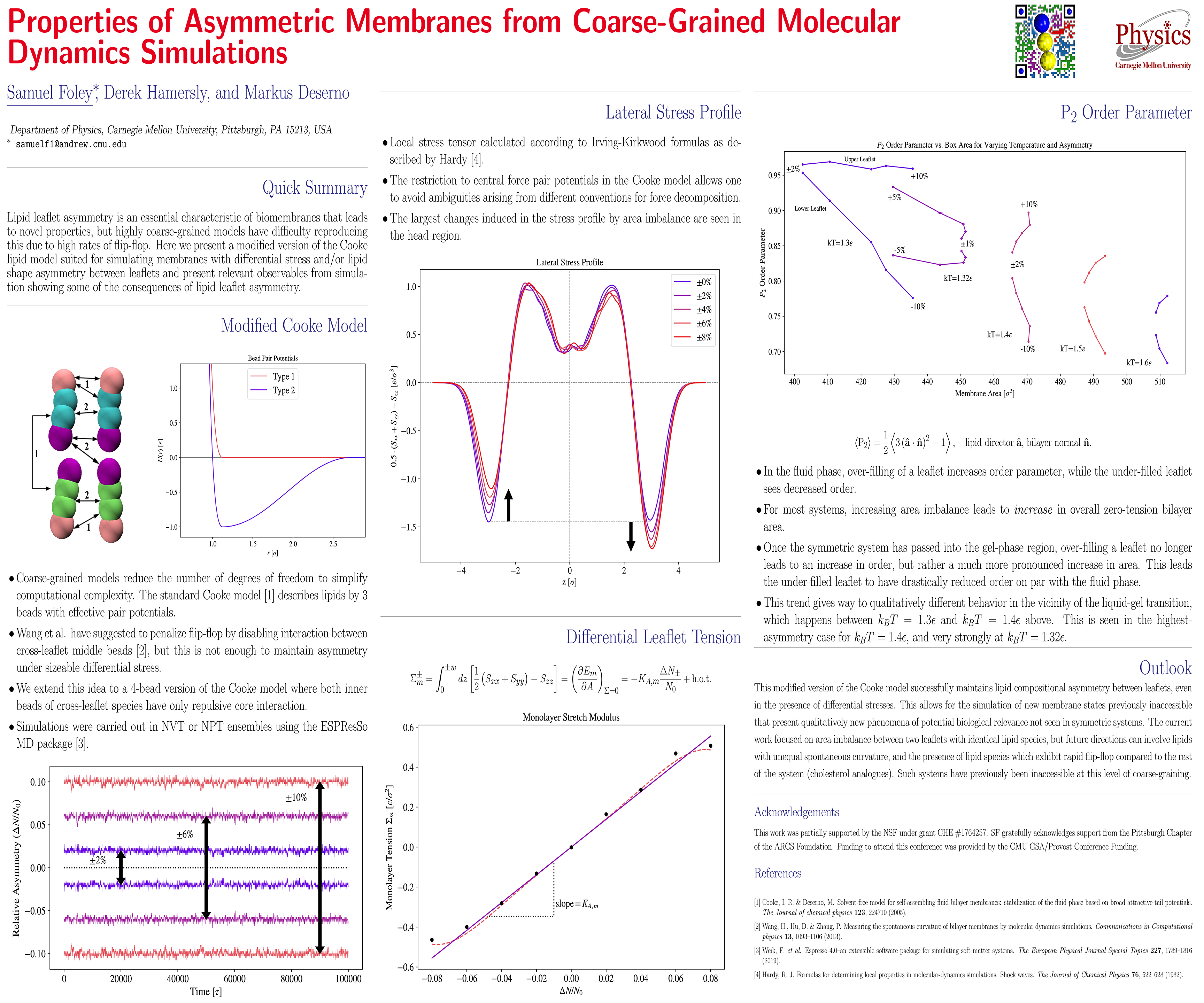 Properties of Asymmetric Membranes from Coarse-Grained Molecular Dynamics Simulations