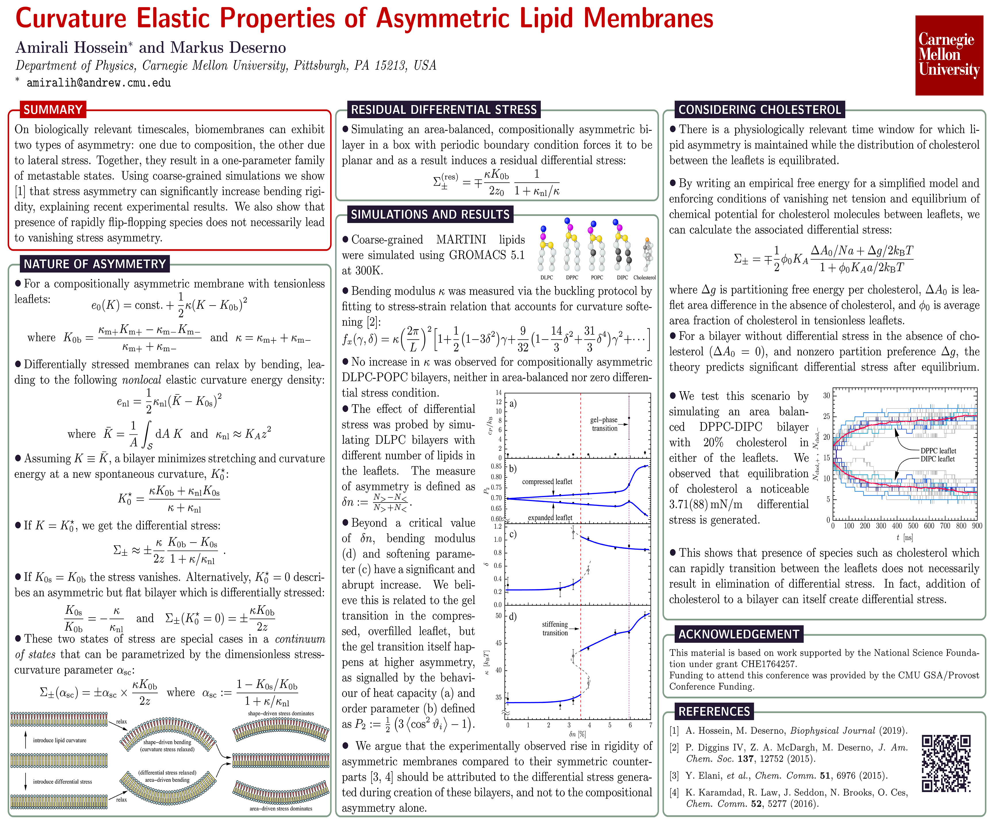 Curvature Elastic Properties of Asymmetric Lipid Membranes