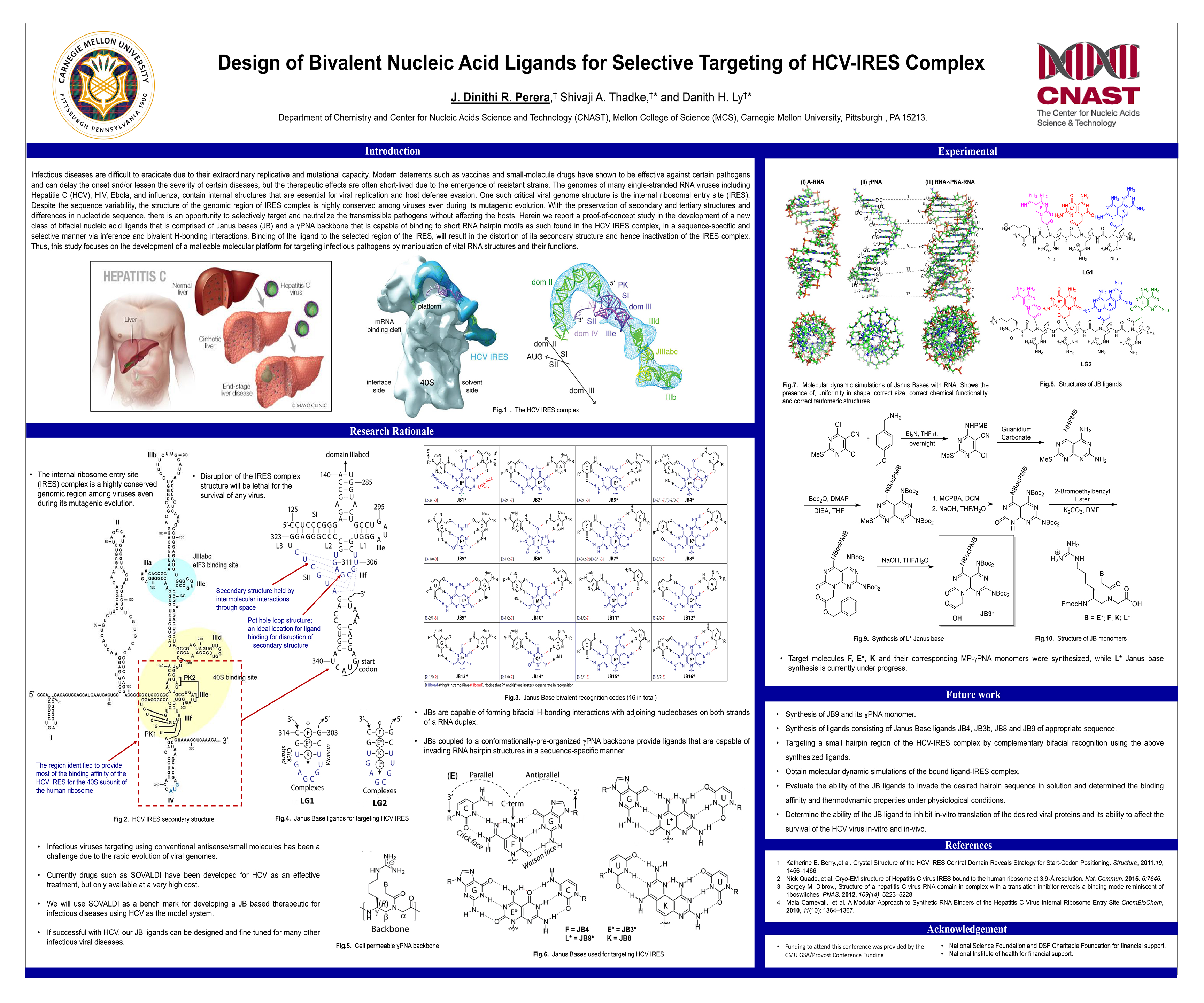 Design of Bivalent Nucleic Acid Ligands for Selective Targeting of HCV-IRES Complex