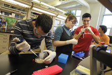 photo of students in lab