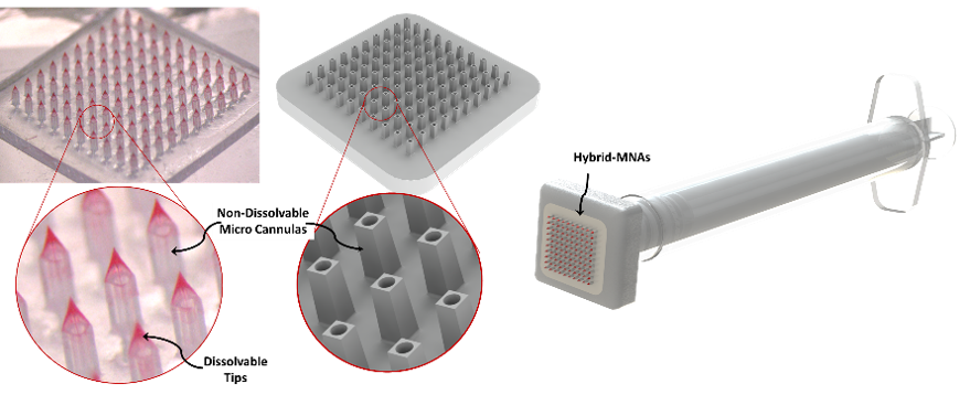 A depiction of the proposed hybrid microneedle array
