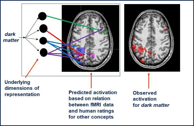 Reinhard brain chart