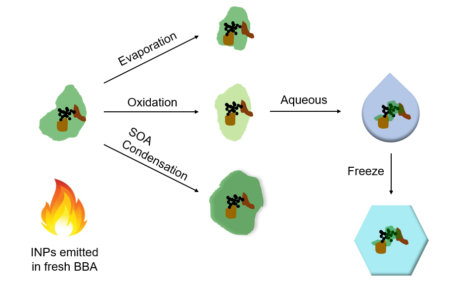 Diagram of Aging of Biomass-Burning Aerosol