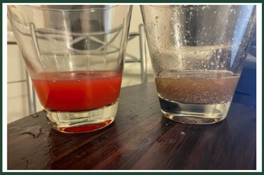 two cups showing strawberry dna extracted with laundry detergent vs dish soap