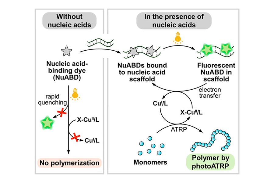 Polymerization using nucleic acid binding dyes