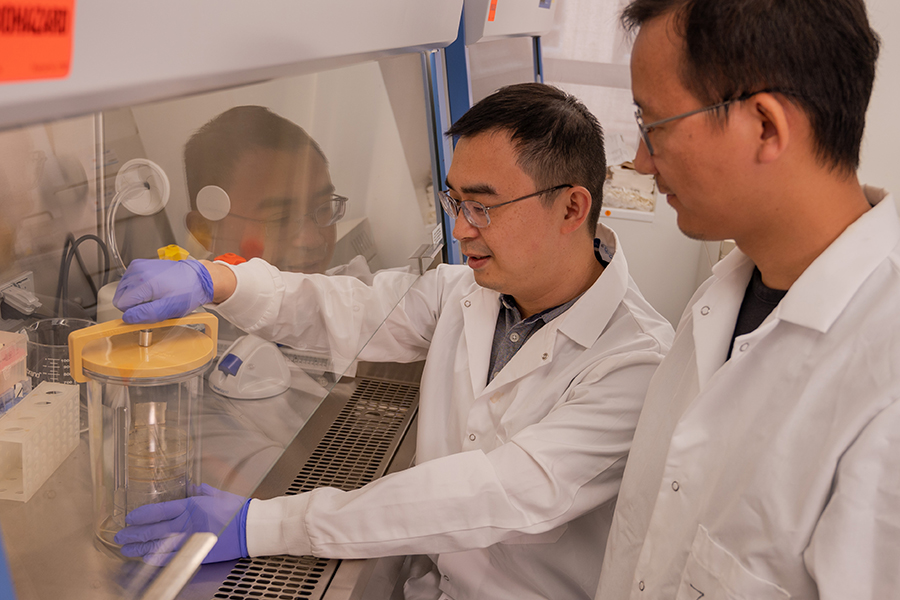 Zheng Kuang works in the lab with Jianglin Zhang