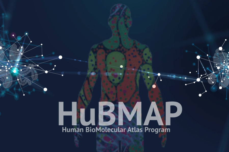 hubmap promo