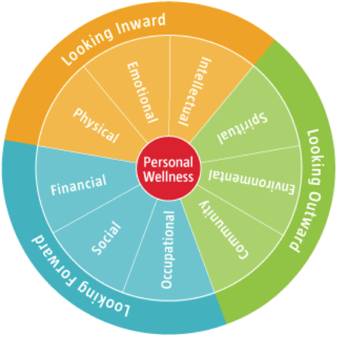 Personal wellness pie chart
