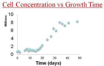 time graph