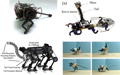 Robot tails