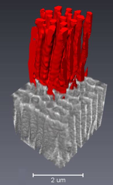 Porous anodic alumina