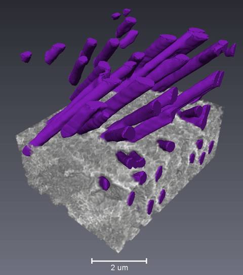 track-etched polycarbonate