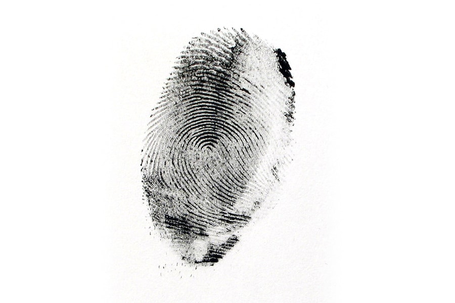 photo of a thumbprint