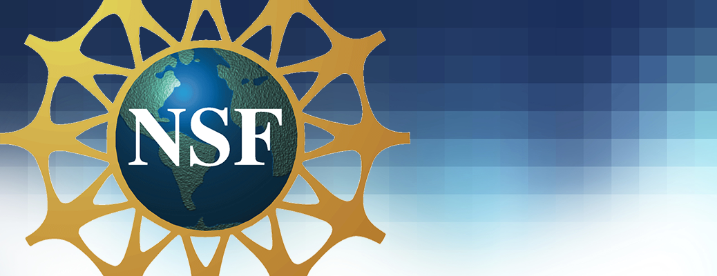 NSF logo