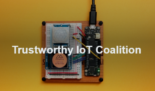 Trustworthy IoT