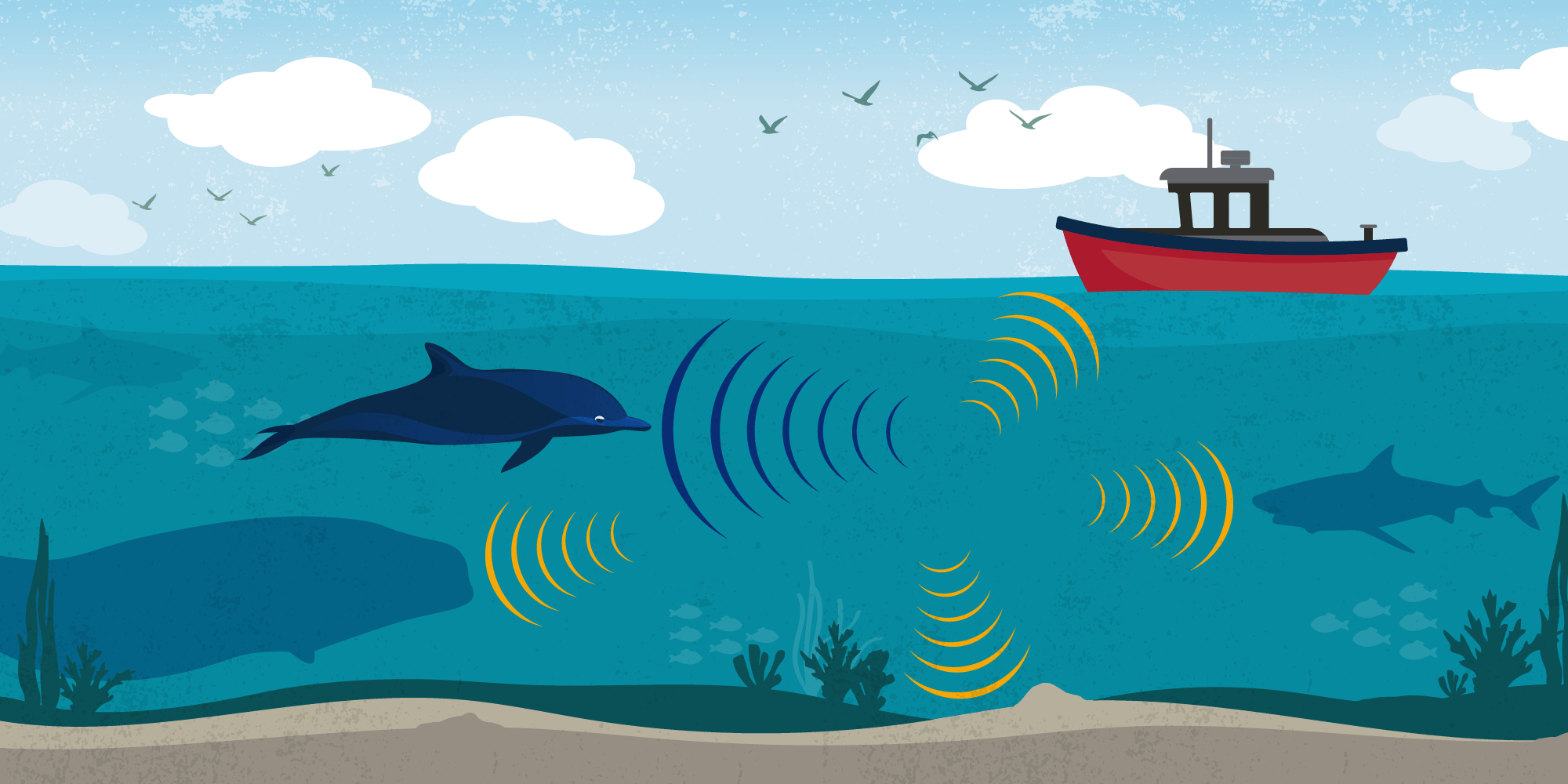 An illustration of dolphins