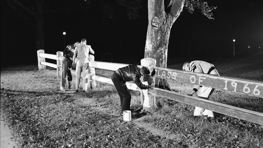 The Fence is painted in 1966.