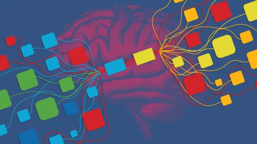 brain-communication-900x600-min.jpg